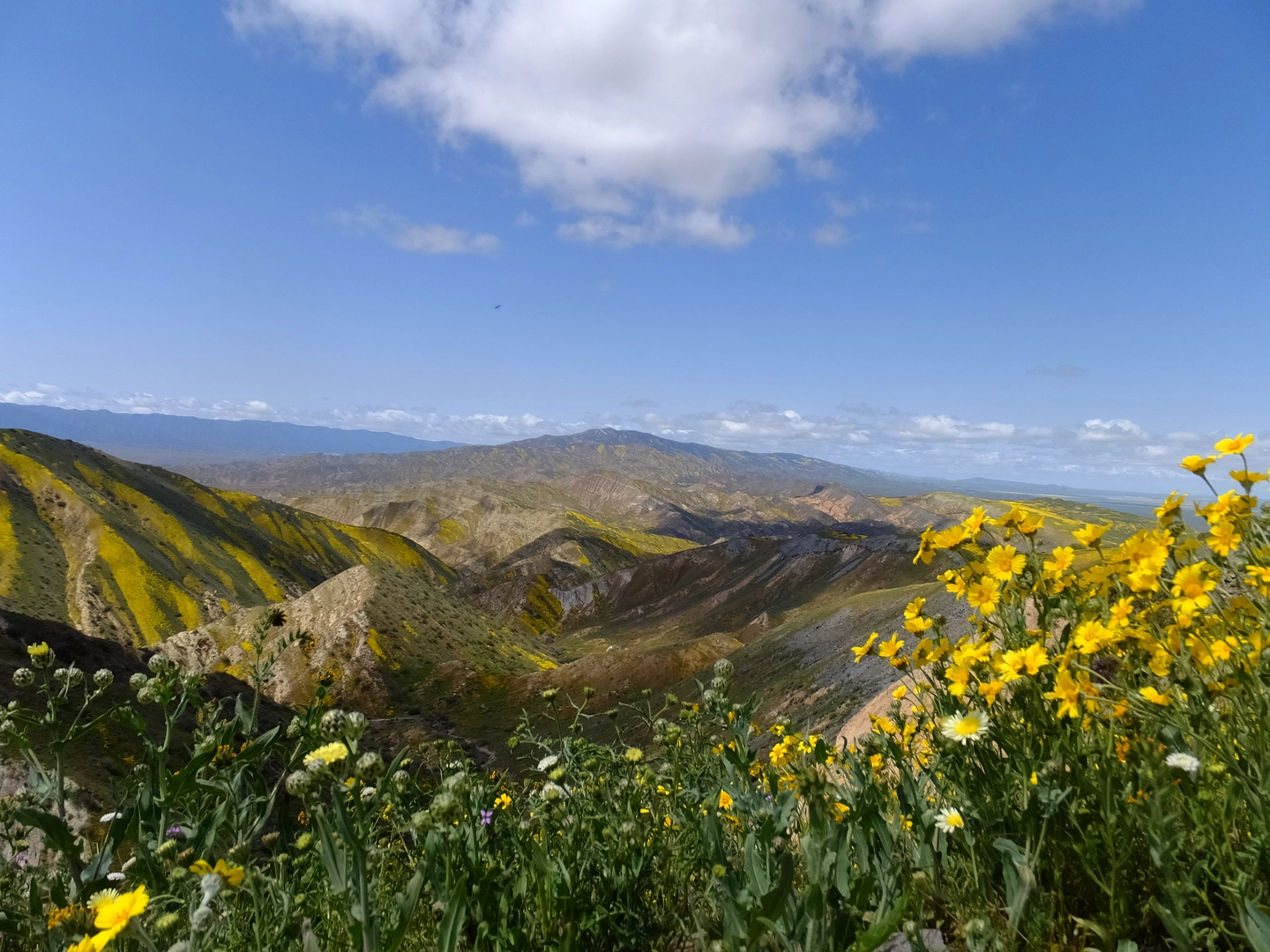 An image depicting the trail Caliente Mountian Ridge Trail and its surrounding area.