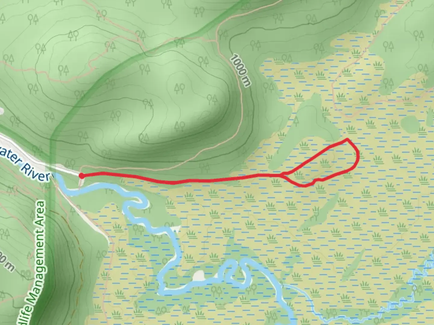An image depicting the trail Babcock Lumber Loop and its surrounding area.