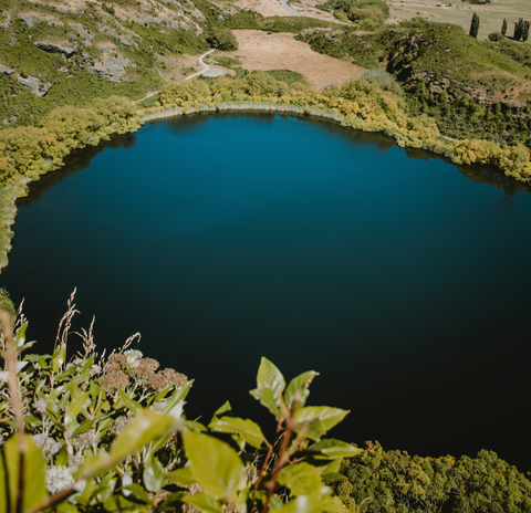 Diamond Lake Lookout Track