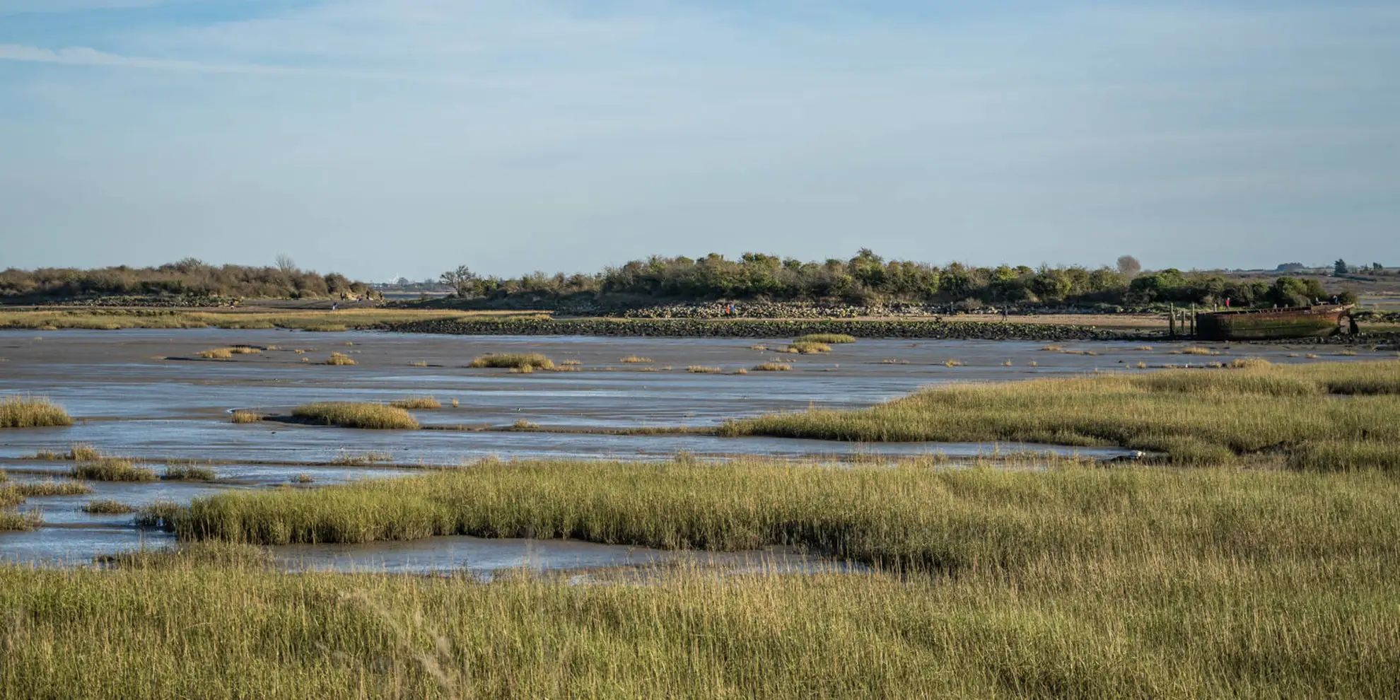 An image depicting the trail Lasso Essex - Chingford to Rainham and its surrounding area.
