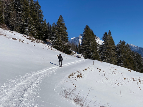 Thurweg- Unterwasser to Starkenbach Trail