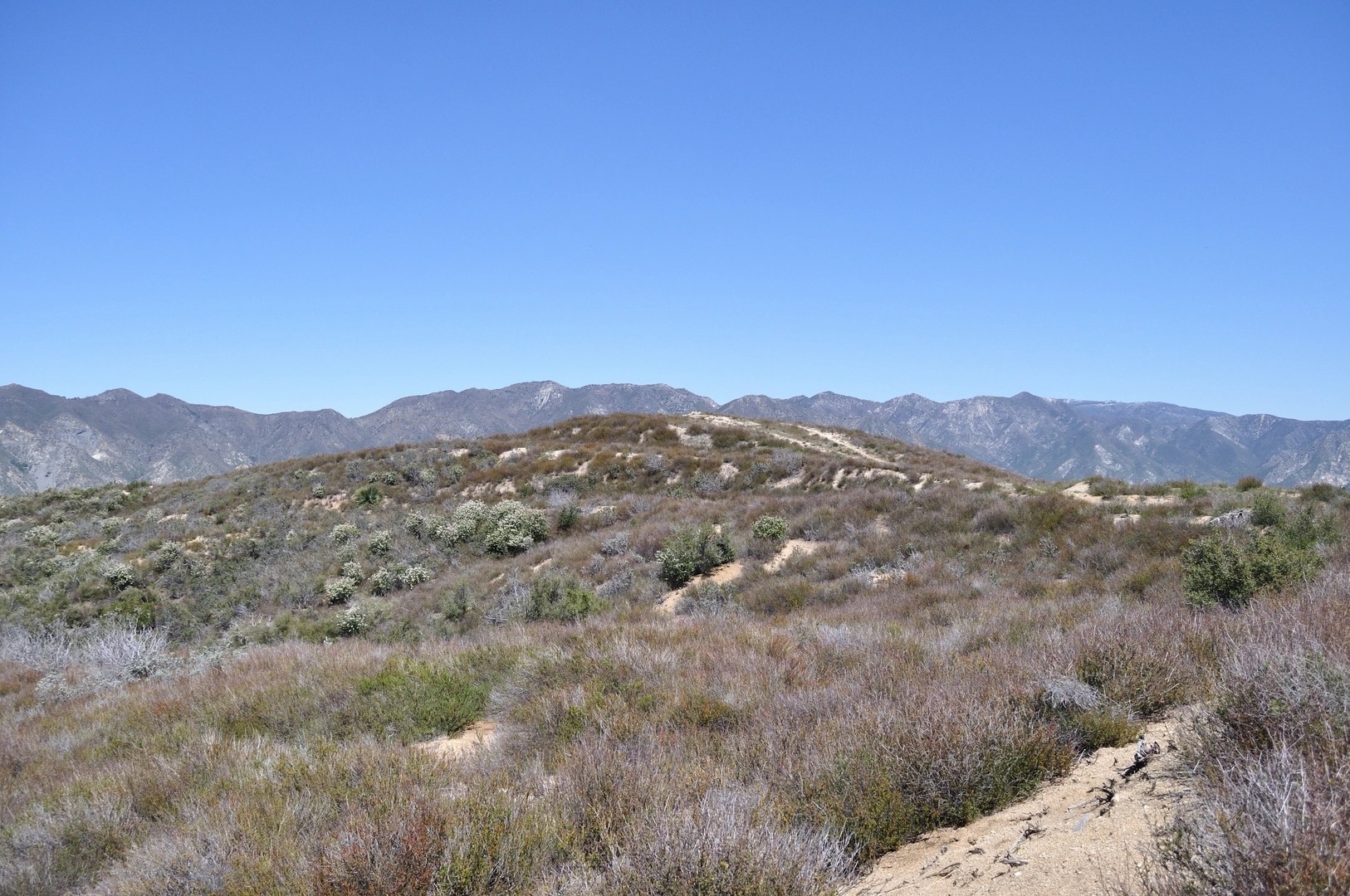 An image depicting the trail Gold Canyon Trail to Yerba Buena Ridge Summit and its surrounding area.