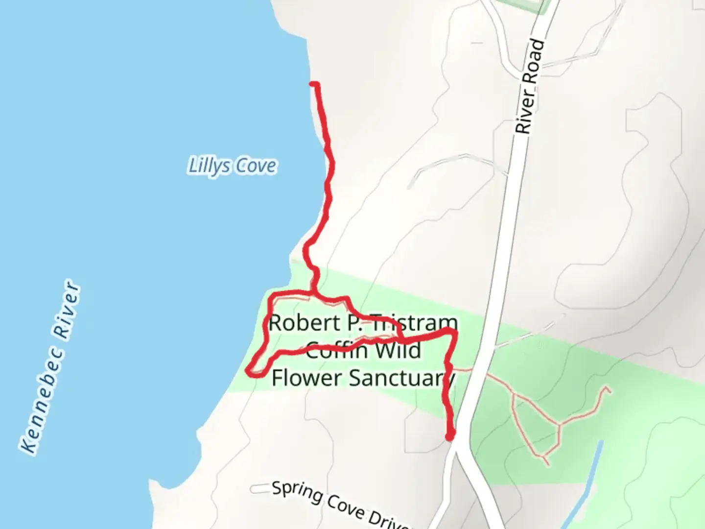 An image depicting the trail Lillys Cove Loop and its surrounding area.