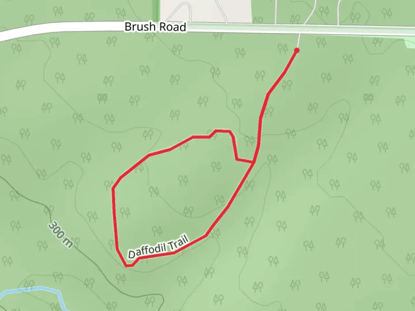 An image depicting the trail Daffodil Loop Trail and its surrounding area.