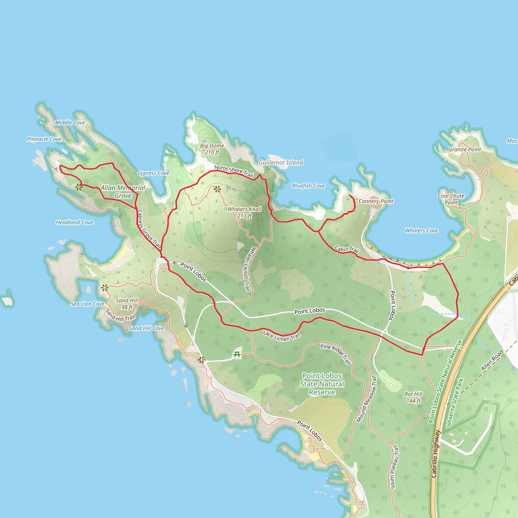 Lace Lichen - Cypress Grove - North Shore - Granite Point - Carmelo Meadow Loop Trail mobile static map