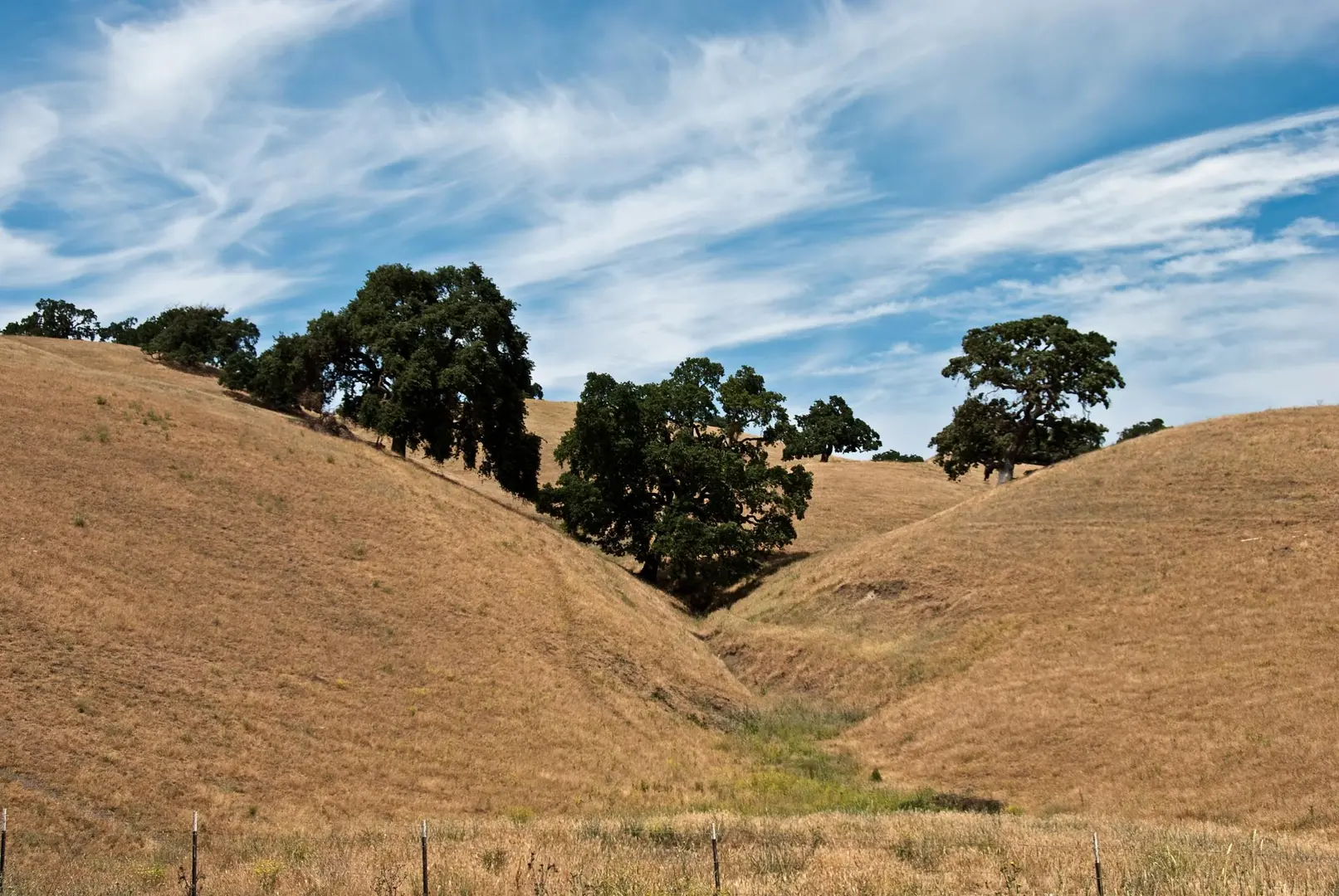 An image depicting the trail Sand Hill, Short Ridge Trail and Shady Slope Trail Loop and its surrounding area.