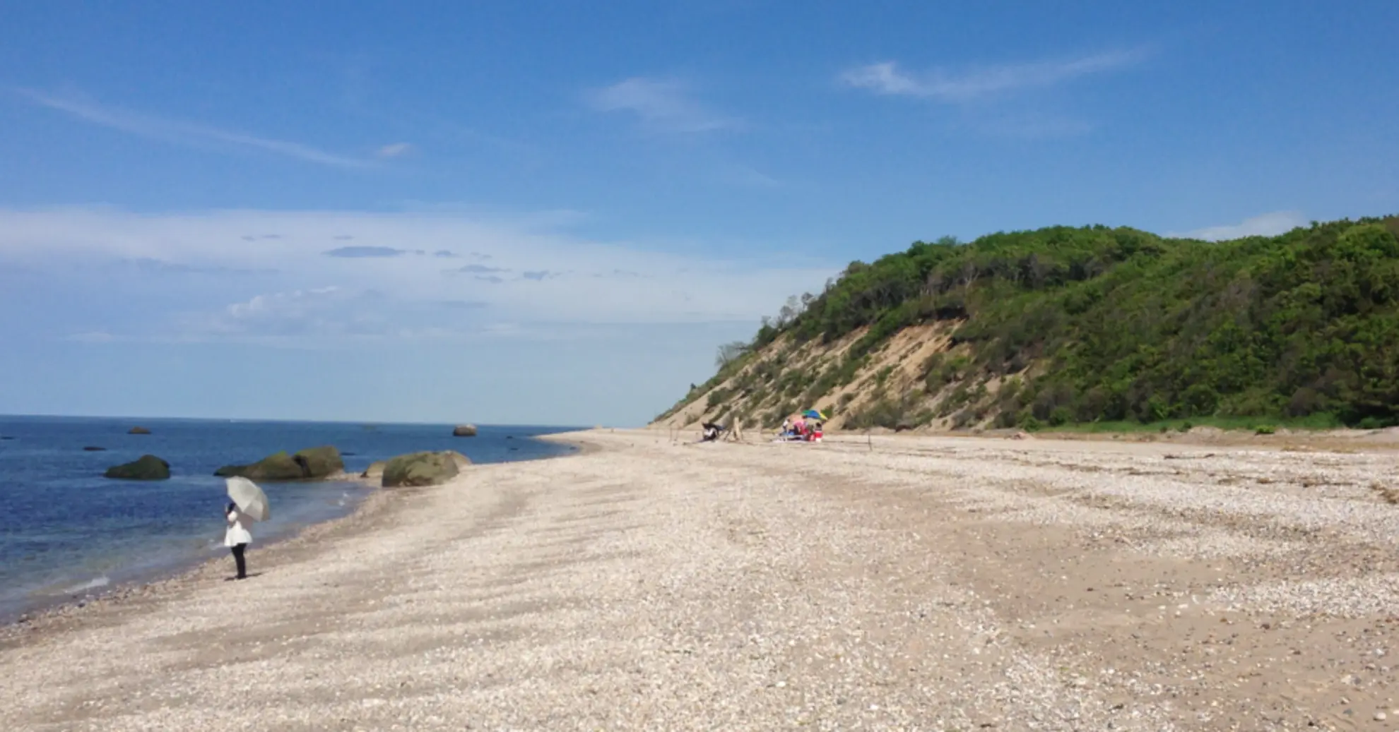An image depicting the trail Cordwood Landing Country Park from Pringle Road and its surrounding area.