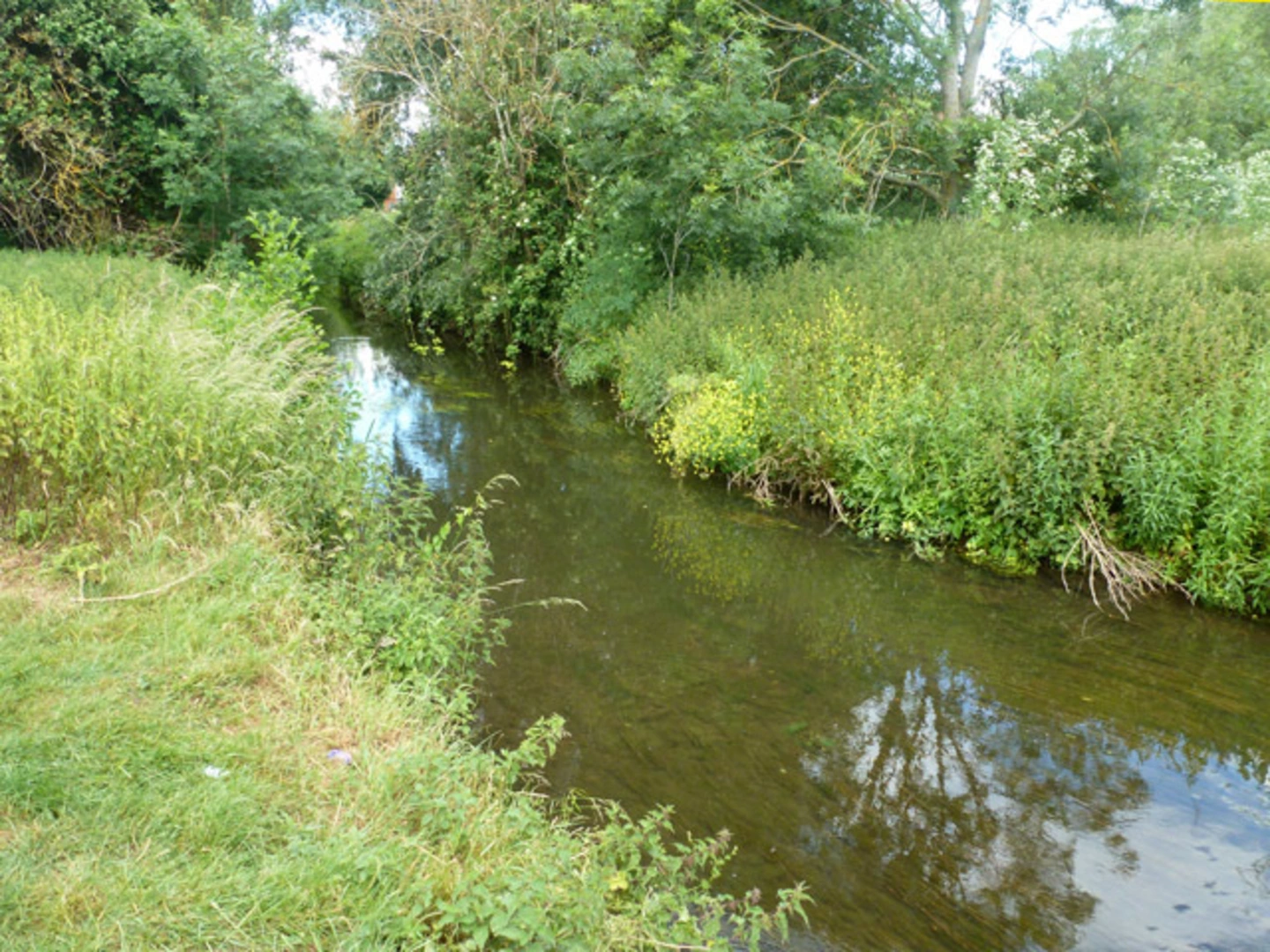 An image depicting the trail Blackwater Rail Trail and its surrounding area.