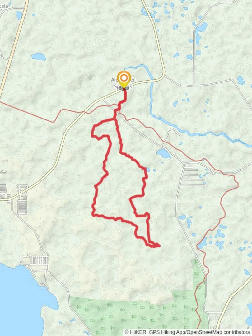An image depicting the trail Alexander Springs Recreation Area Spur and Paisley Woods Loop Trail and its surrounding area.