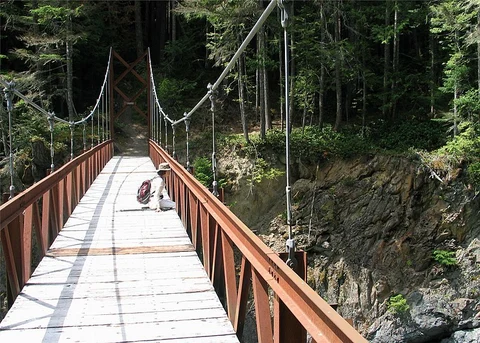 An image depicting the trail Long Ridge via Elwha River Trail and its surrounding area.