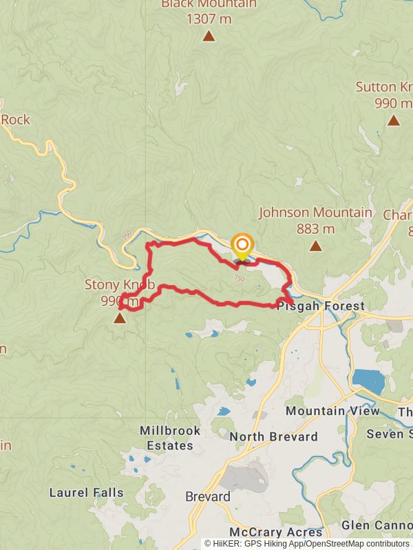 Davidson River and Joel Branch Loop