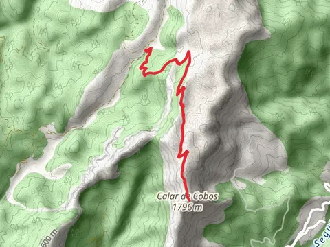 Cañada del Saucar - Puntal Summit PR A 196