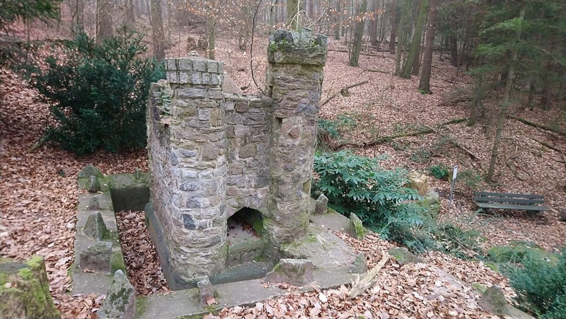 An image depicting the trail Hirtenhof Loop and its surrounding area.