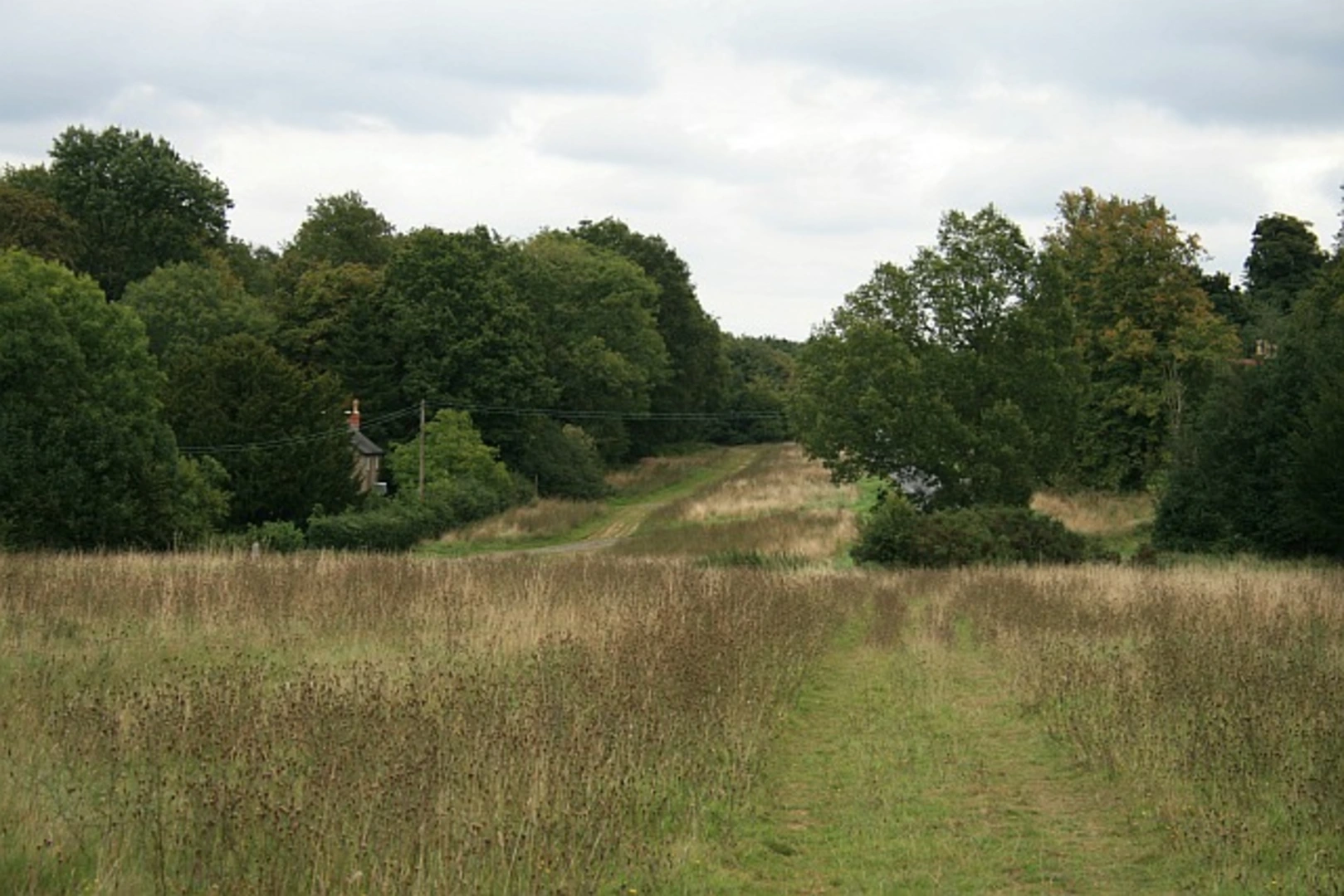 An image depicting the trail Ranmore Common and Connicut Wood Loop and its surrounding area.