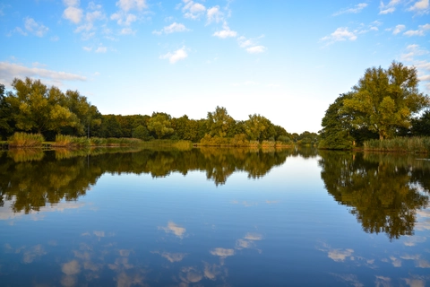 De Achterste, Park Hemelrijk, Schaijksche and De Geelders Loop