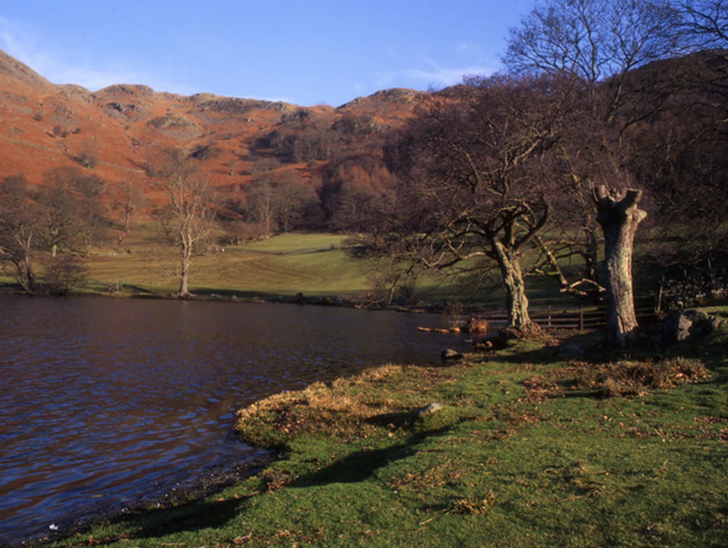 An image depicting the trail Elter Water and Loughrigg Tarn Loop and its surrounding area.