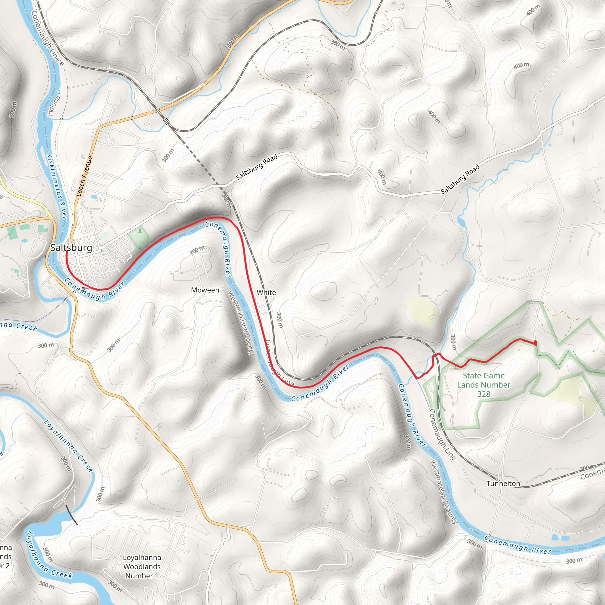 Conemaugh River from Tunnelton Road mobile static map