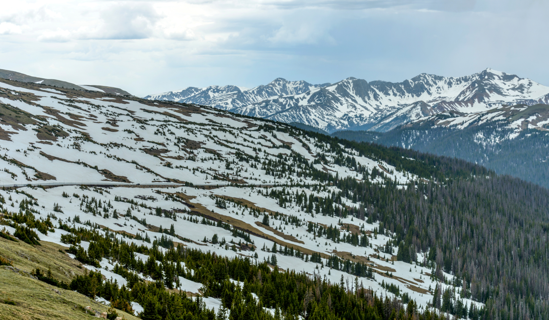 An image depicting the trail Jack Park Trail and its surrounding area.
