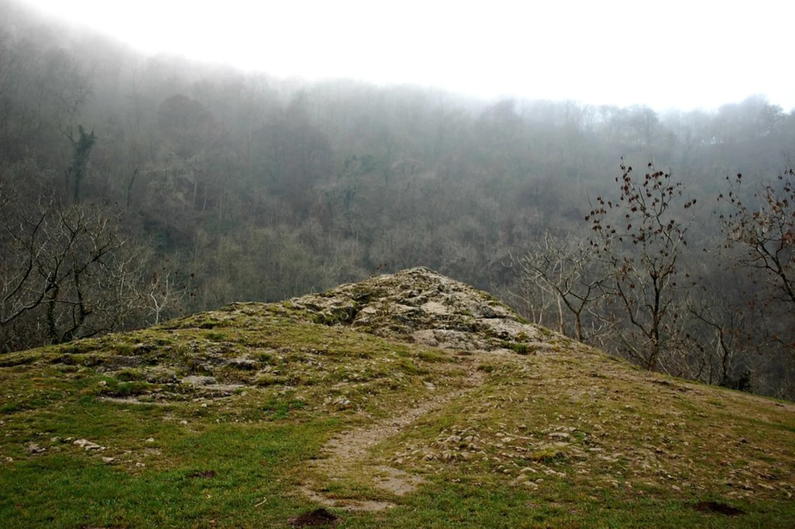 An image depicting the trail Rivendale to Tissington Walk and its surrounding area.