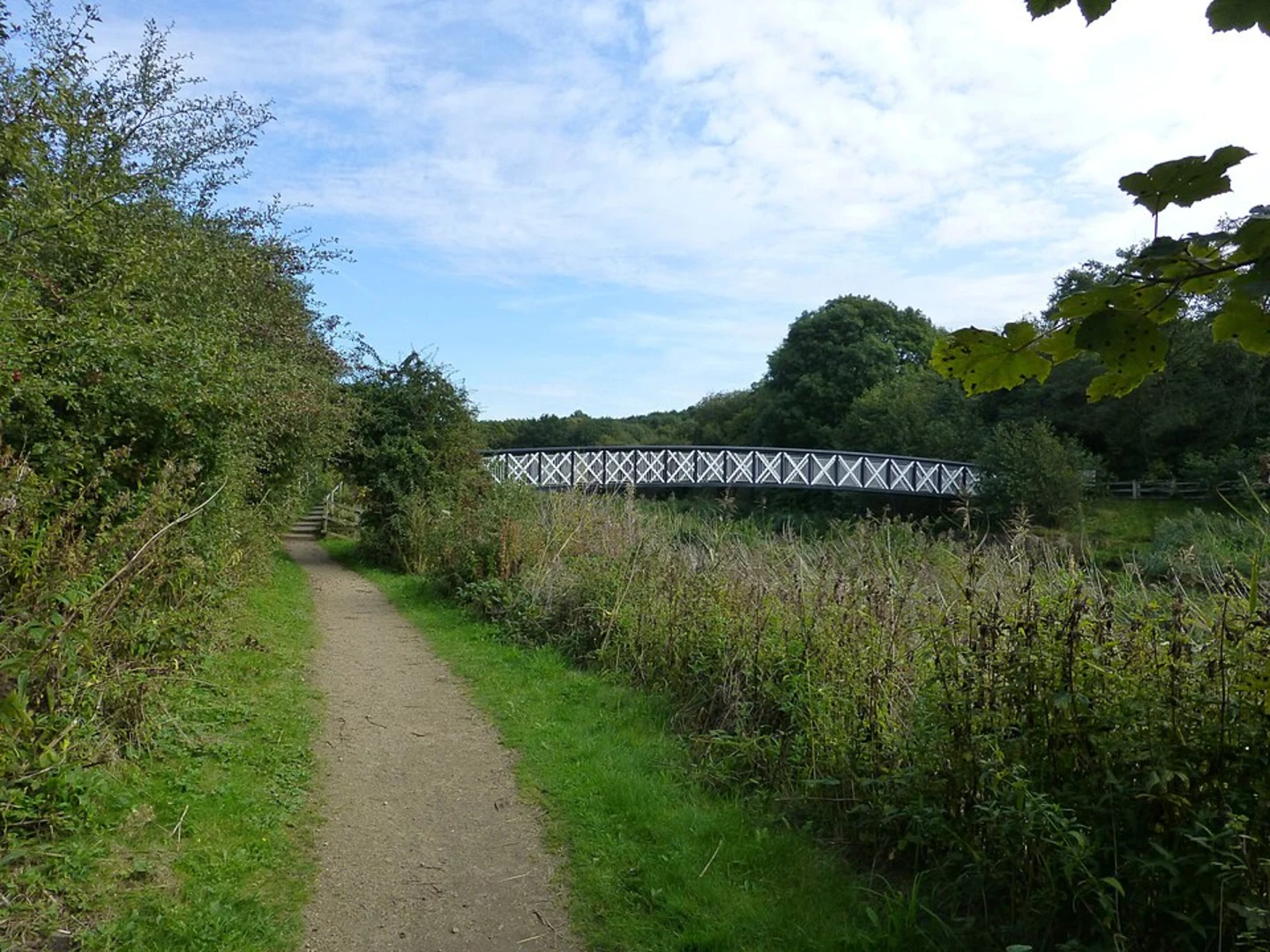 An image depicting the trail Marshalls Wood Loop and its surrounding area.