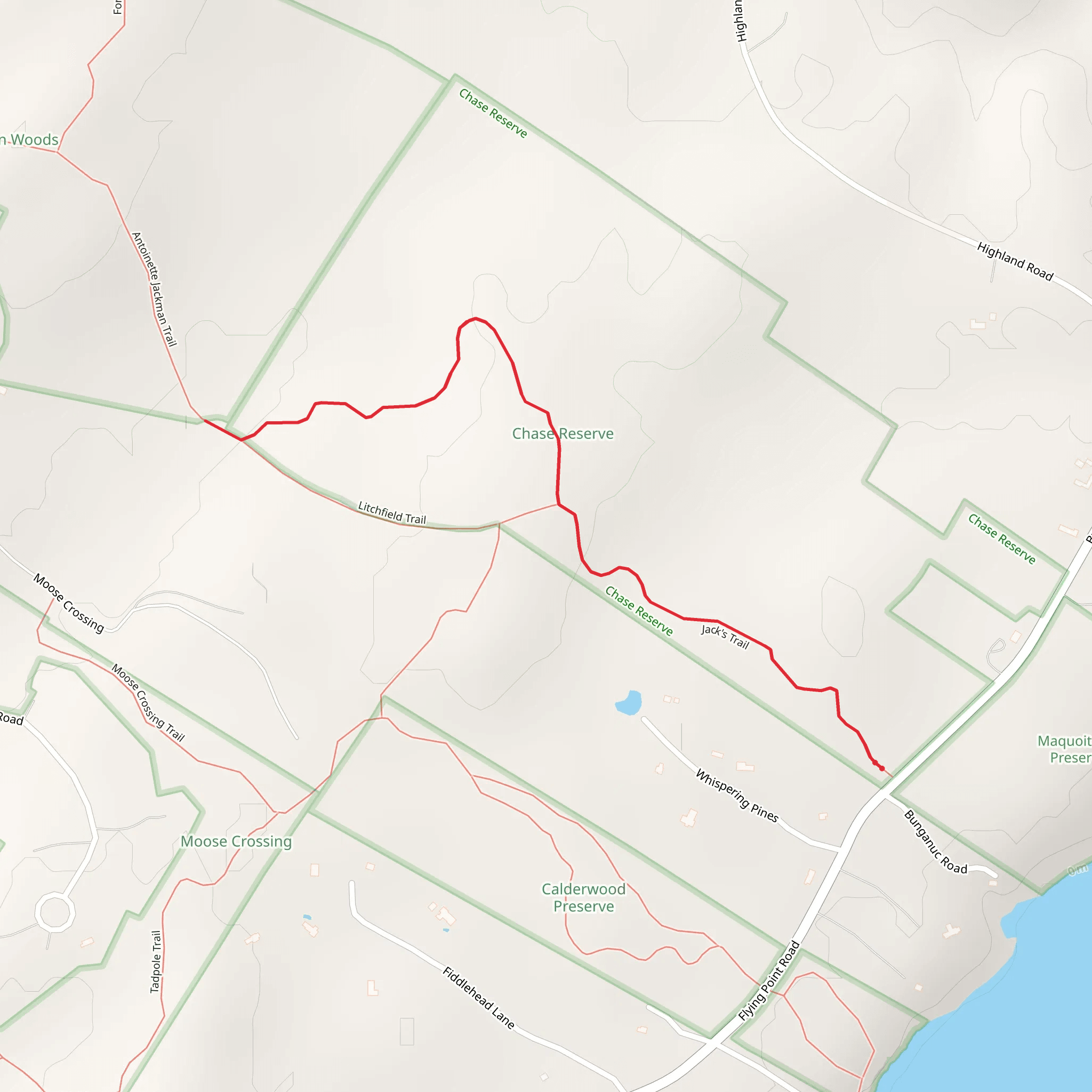 Little River - Flying Point Road mobile static map