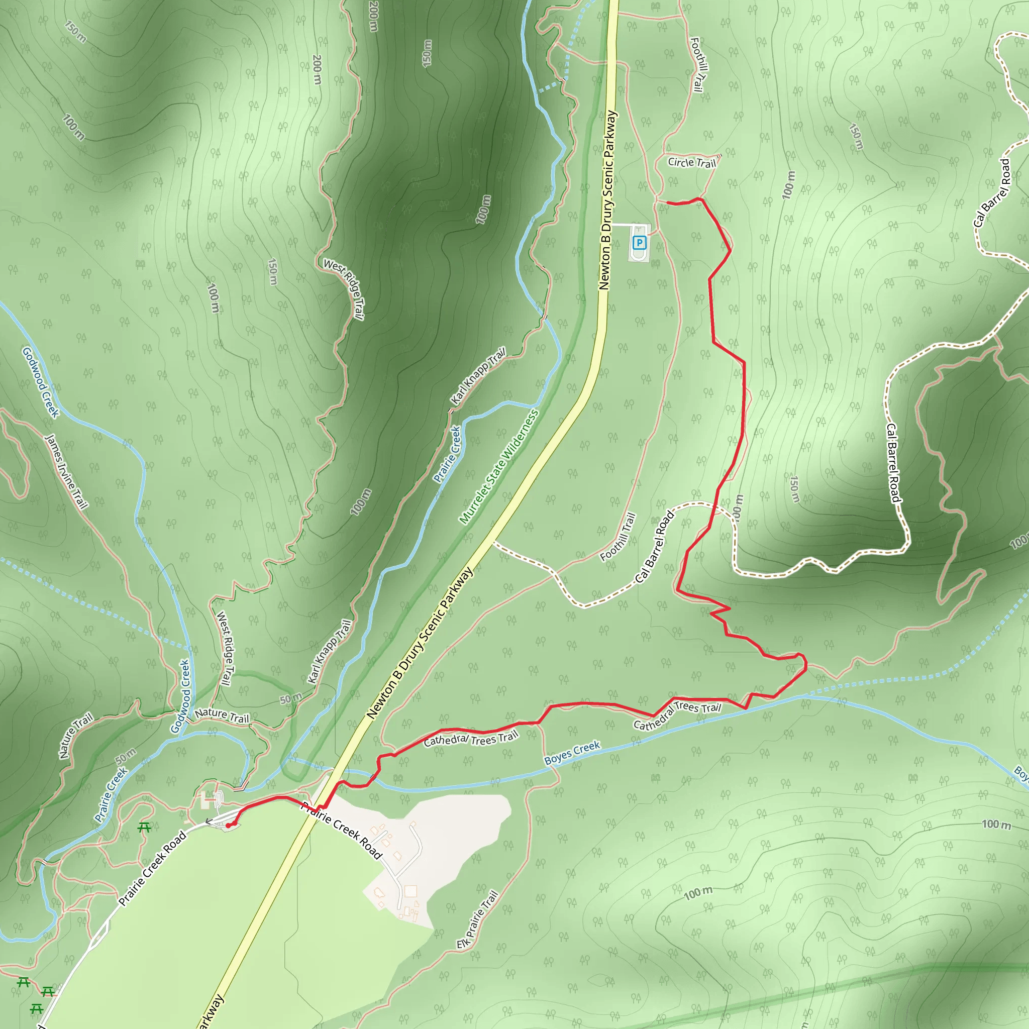 Boyes Creek - Cathedral Trees Trail mobile static map
