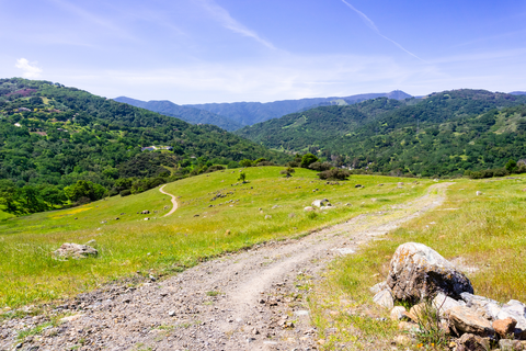 An image depicting the trail San Vicente Mountain Park via West Mandeville Fire Road and its surrounding area.