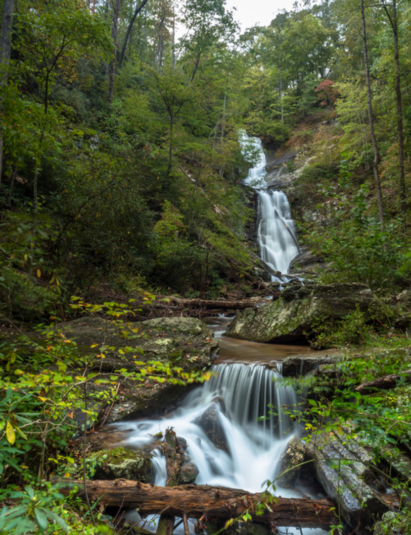 An image depicting the trail Falls Branch Trail and its surrounding area.