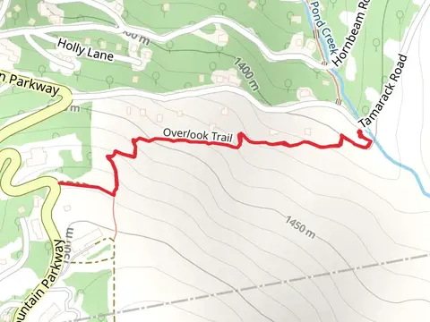 Pond Creek, Overlook and Fork Trail