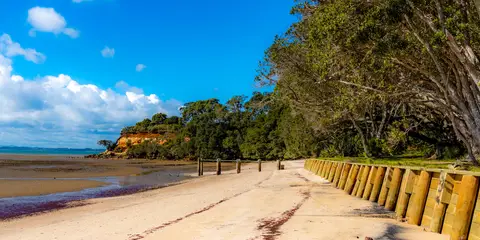 An image depicting the trail Awhitu Regional Park Walk and its surrounding area.