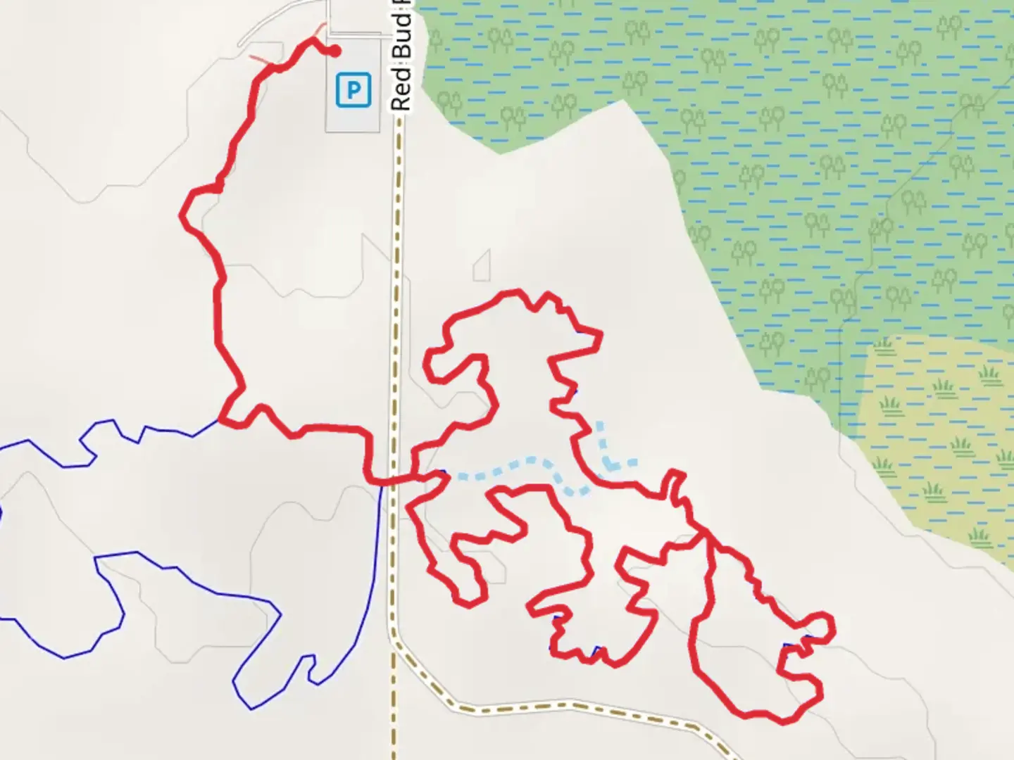 An image depicting the trail The Pines - Yin - Yang Loop and its surrounding area.