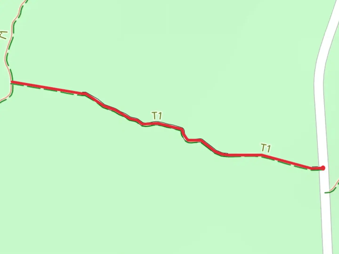 An image depicting the trail Boardwalk Connector Trail and its surrounding area.