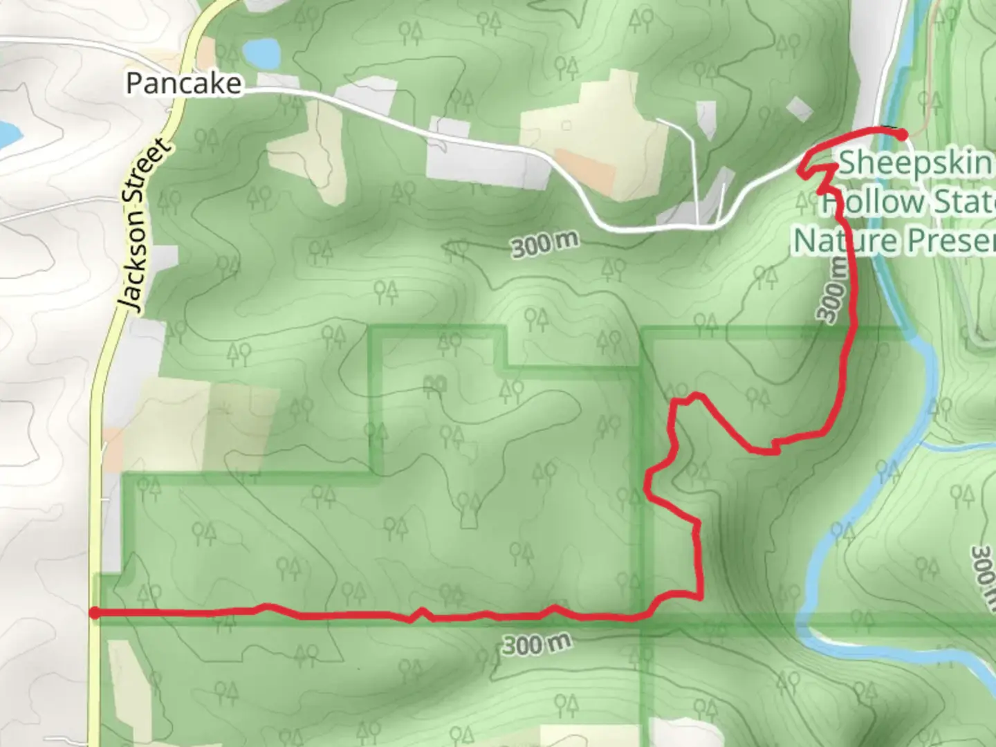 An image depicting the trail North Fork Little Beaver Creek via North Country Trail and its surrounding area.