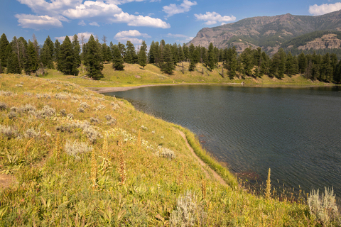 An image depicting the trail Trout Lake Trail and its surrounding area.