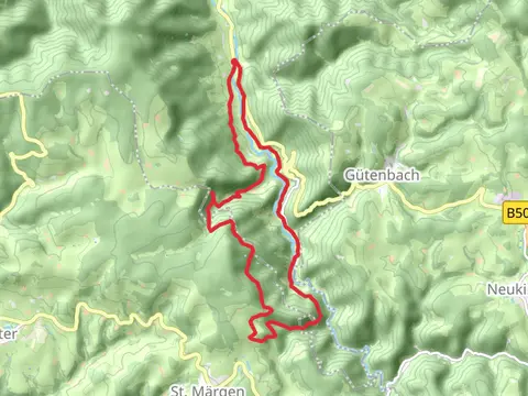 Beim Engel and Wildgutach Loop