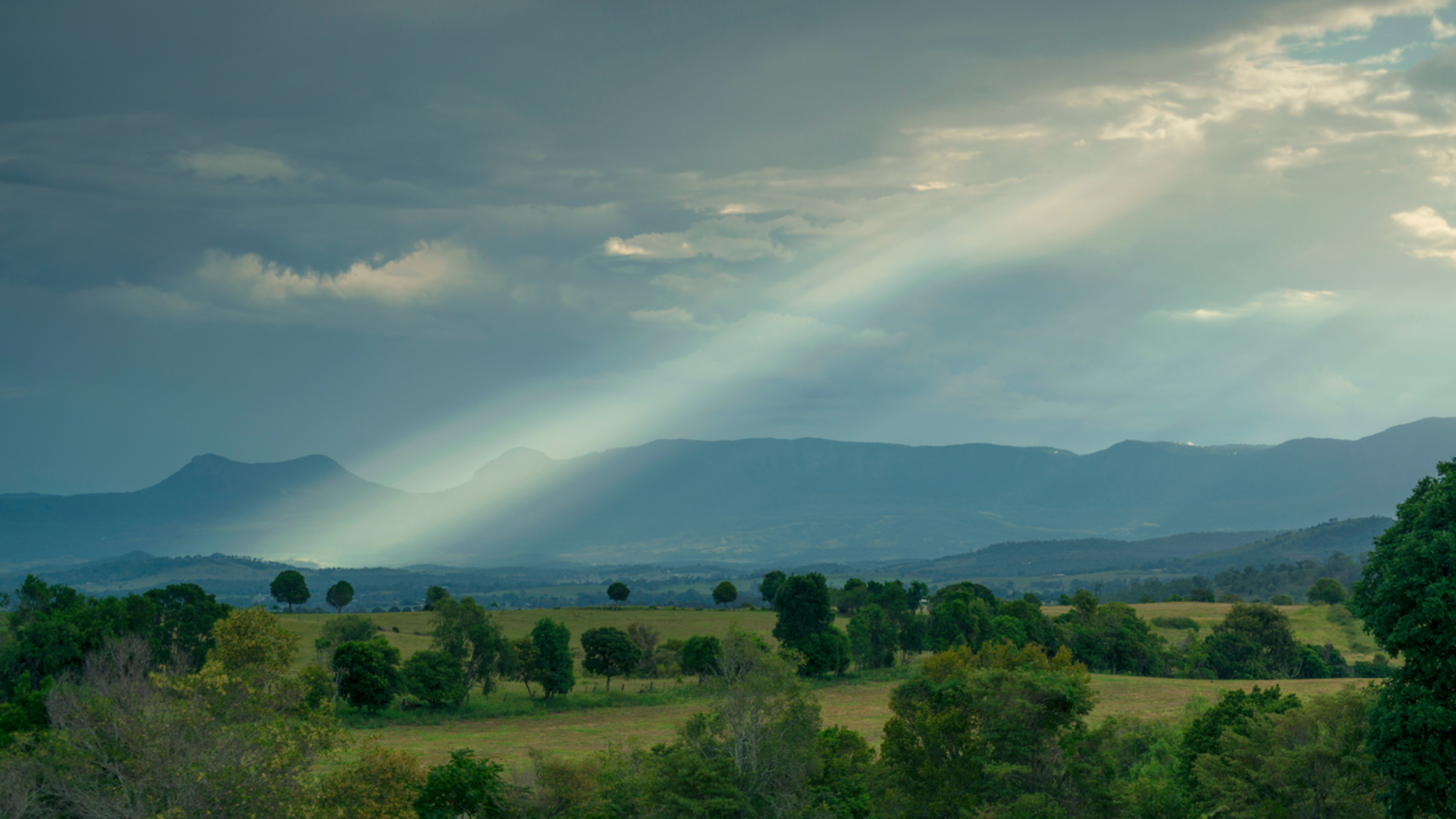 An image depicting the trail Box Forest Track and its surrounding area.
