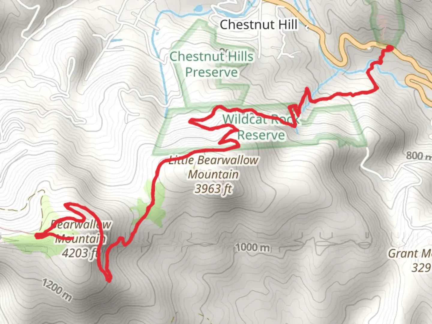 An image depicting the trail Wildcat Rock Trail to Bearwallow Mountain and its surrounding area.