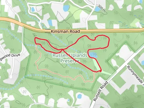 Lake Trace and Diagonal Trace Loop