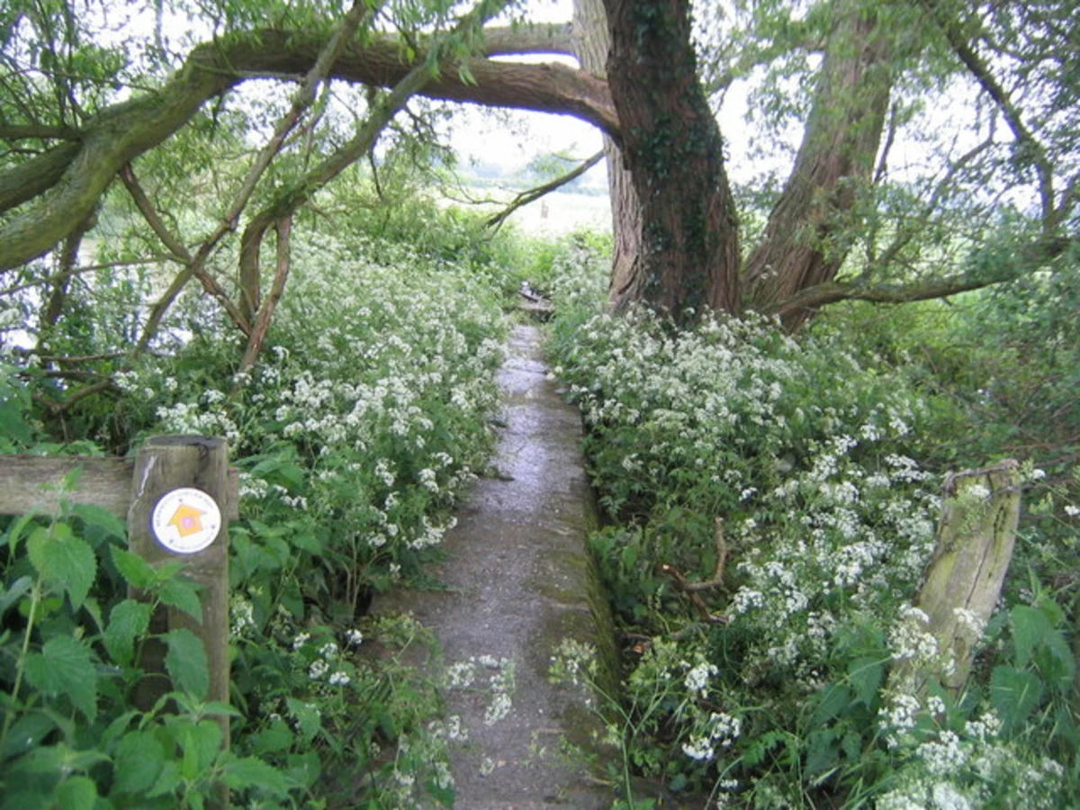 Gawcott and Hillesden Loop