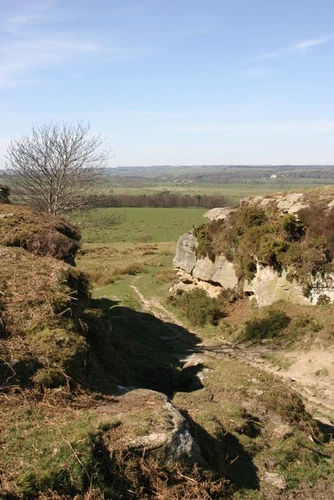 Bolam Lake and Shaftoe Crags Loop