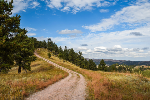 An image depicting the trail Rankin Ridge Trail and its surrounding area.