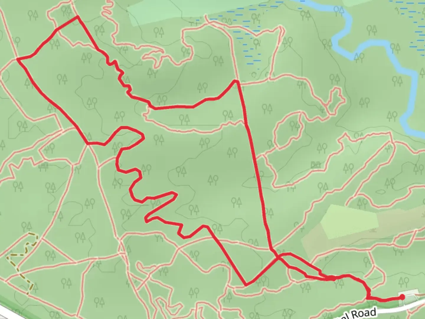 An image depicting the trail White and Orange-White Loop Trail and its surrounding area.