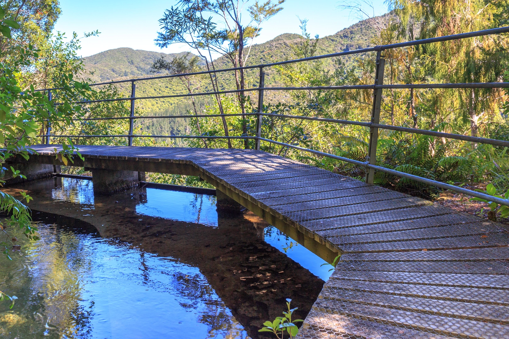 An image depicting the trail Pupu Hydro Walkway and its surrounding area.