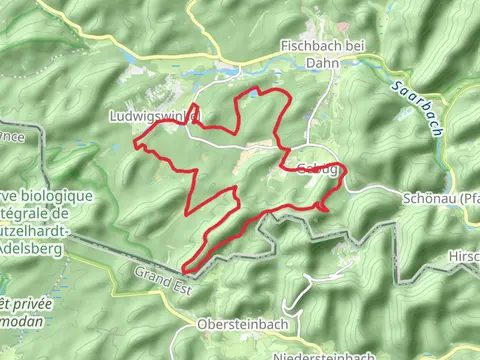 Ruine Blumenstein, Sagmuhlweiher and Plafzerwoog Circular Hike