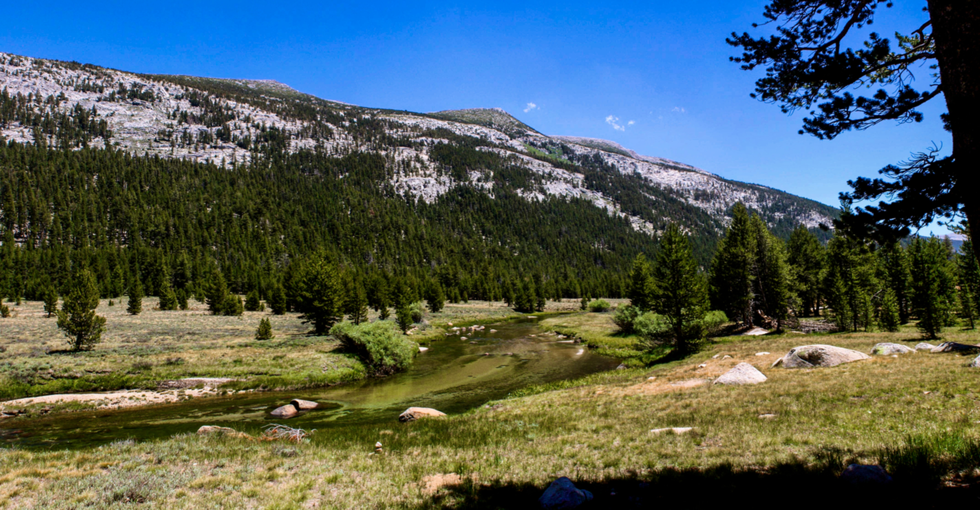 An image depicting the trail Lyell Canyon Trail and its surrounding area.