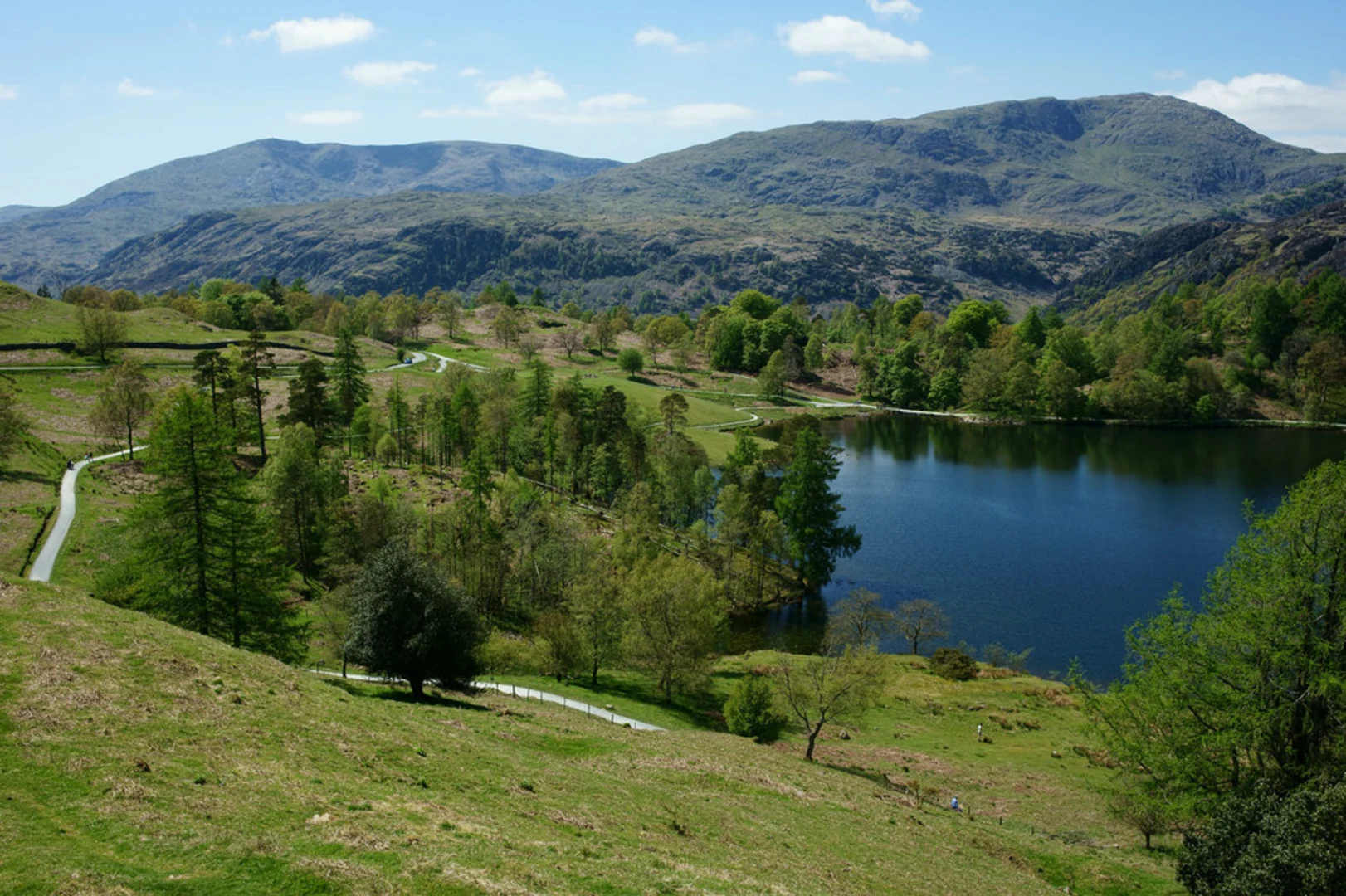 An image depicting the trail Tarn Hows View Point Walk and its surrounding area.