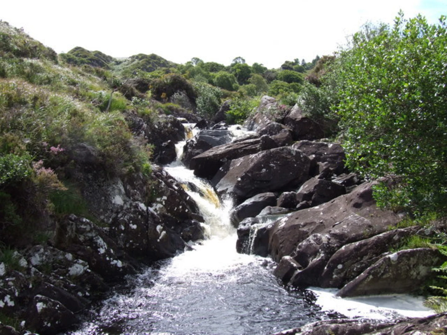 An image depicting the trail Knockanaguish and Peakeen Mountains Loop via The Kerry Way and its surrounding area.