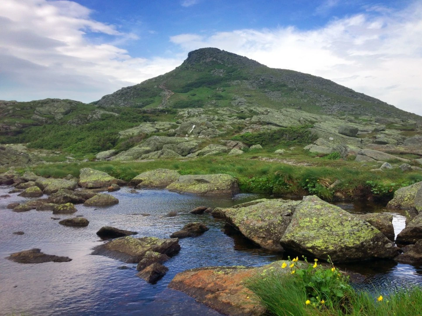 An image depicting the trail Howker Ridge Trail and its surrounding area.