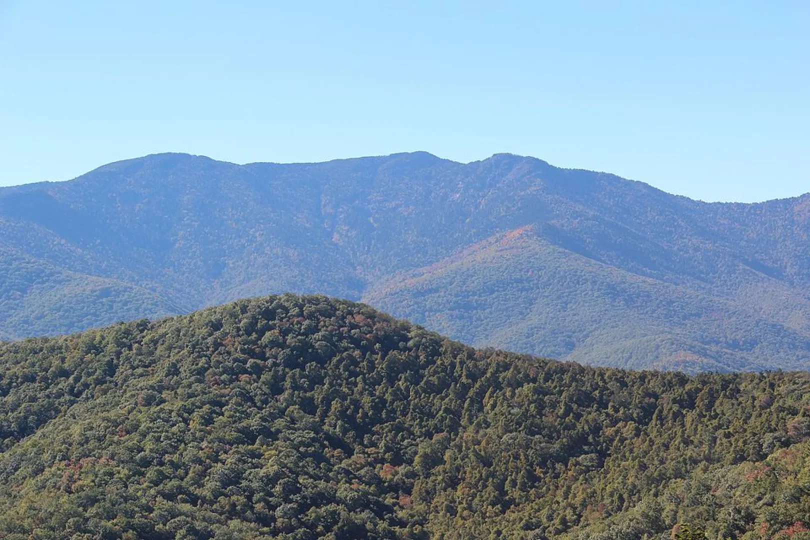 An image depicting the trail Mayland Bank and Low Retford Wood Loop and its surrounding area.