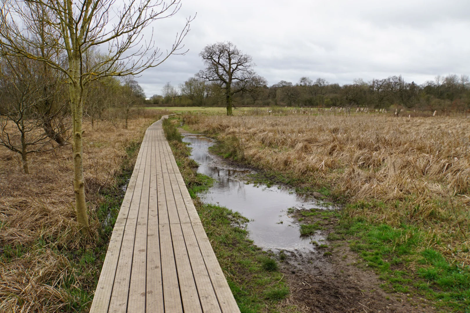 An image depicting the trail Malvern and Brueton Park Loop and its surrounding area.